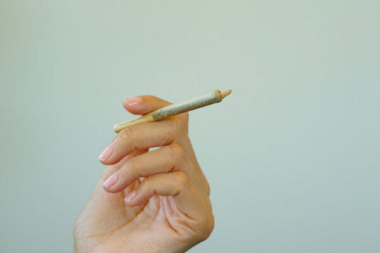 How Long Are Pre-Rolls Good For? All About Pre-Rolls Expiration