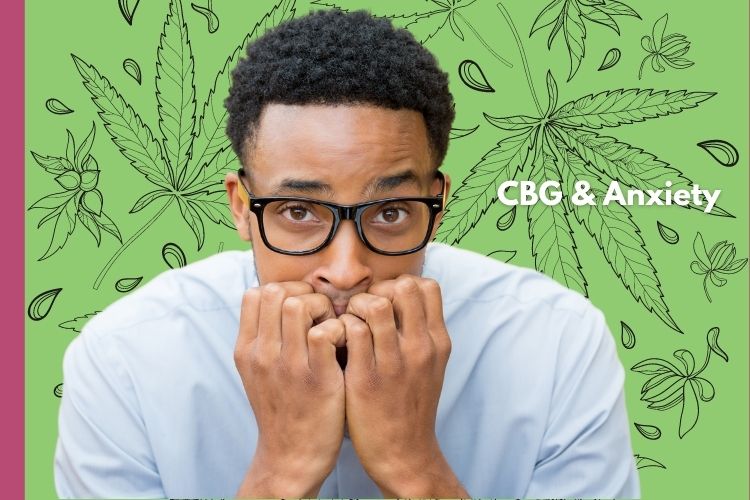 CBG and Anxiety - Will it Help?