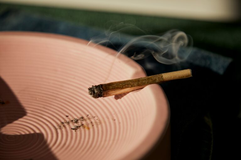 CBD vs THC for Pain: Is THC or CBD Better for Pain Relief?