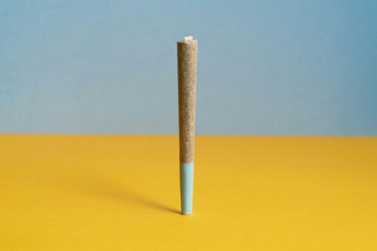 How Many Grams Are in a Pre-Roll? Pre-Roll Size Guide
