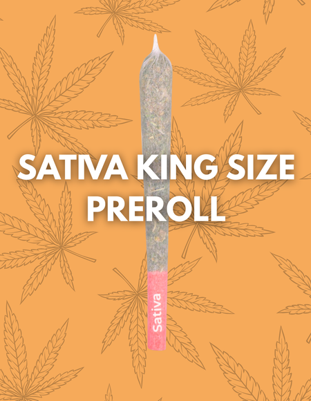1.5g King Size Sativa Preroll