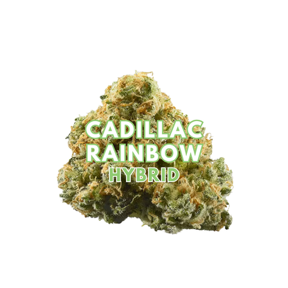 Cadillac Rainbow