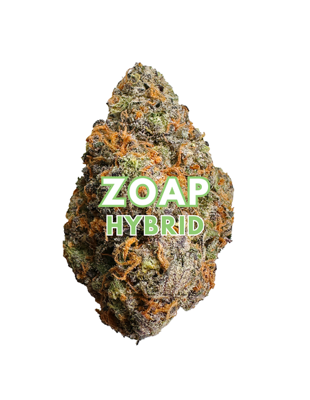 Zoap
