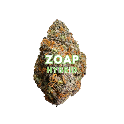 Zoap
