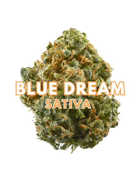 Blue Dream