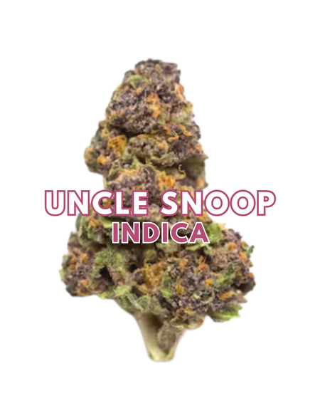 Uncle Snoop