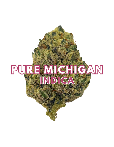 Pure Michigan