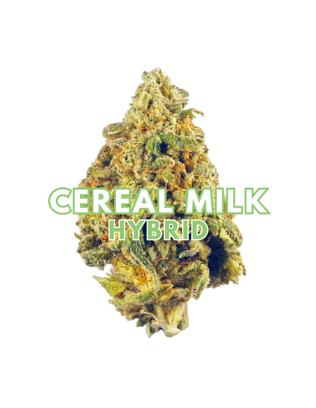 Cereal Milk