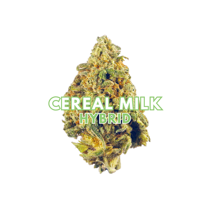 Cereal Milk