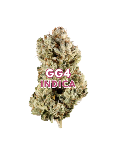 GG4