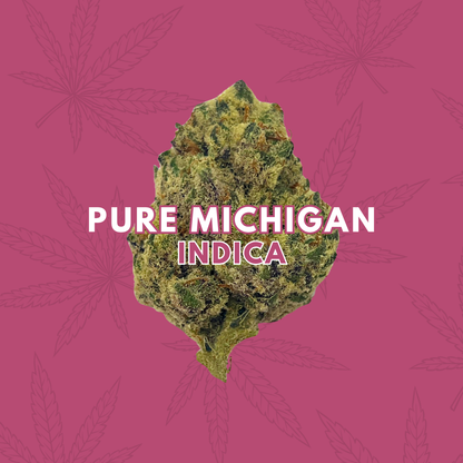 Pure Michigan