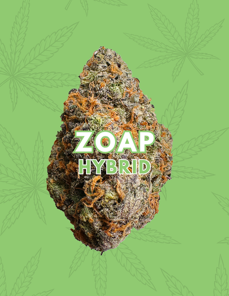 Zoap