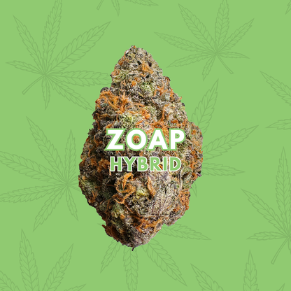 Zoap