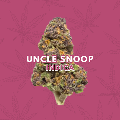 Uncle Snoop