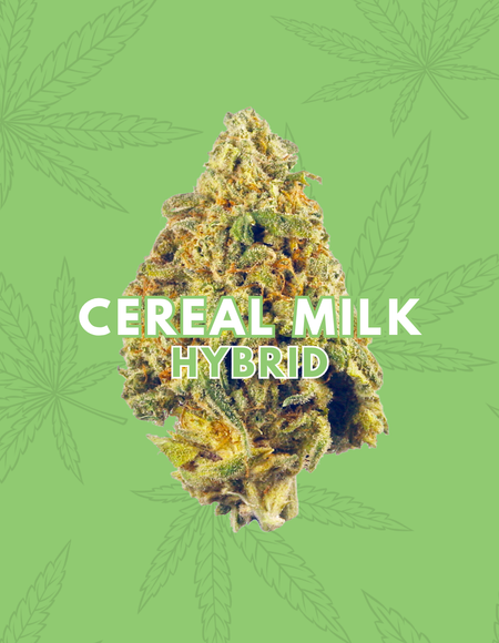 Cereal Milk