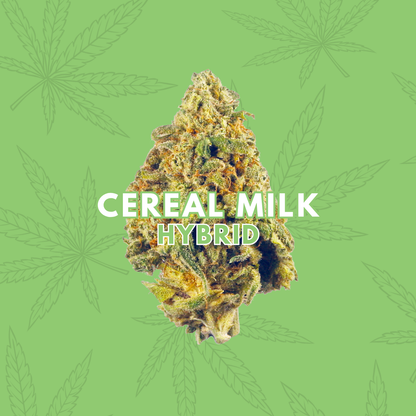 Cereal Milk