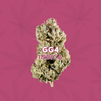 GG4