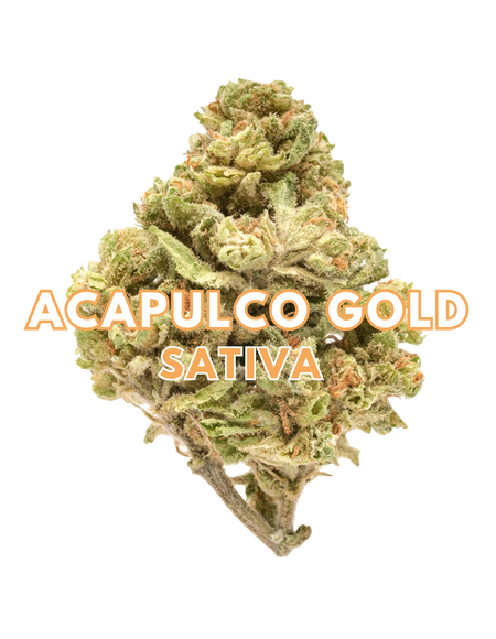 Acapulco Gold