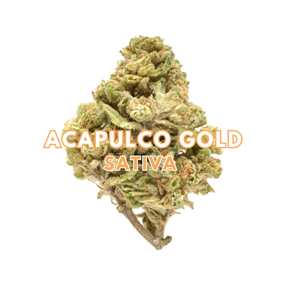 Acapulco Gold