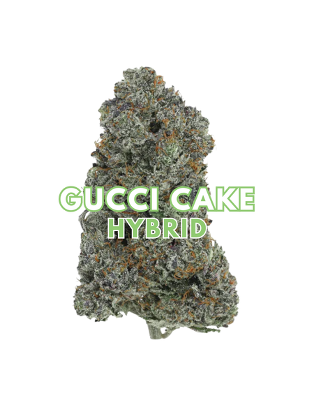 Gucci Cake