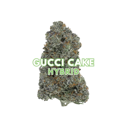 Gucci Cake
