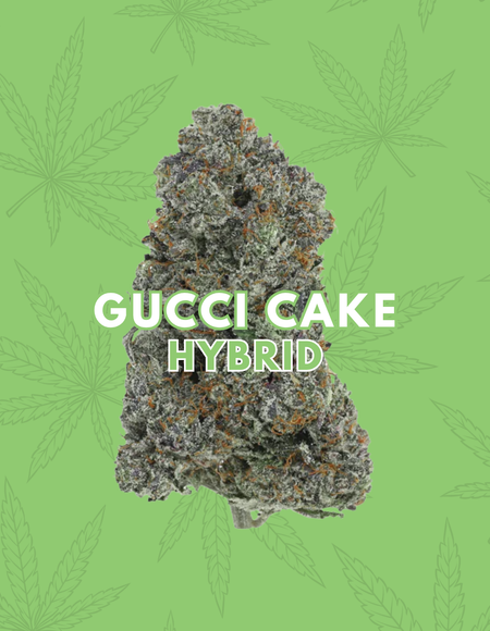 Gucci Cake