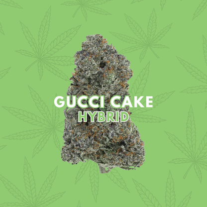 Gucci Cake