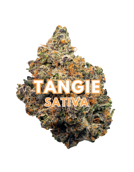 Tangie