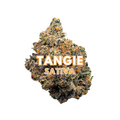 Tangie