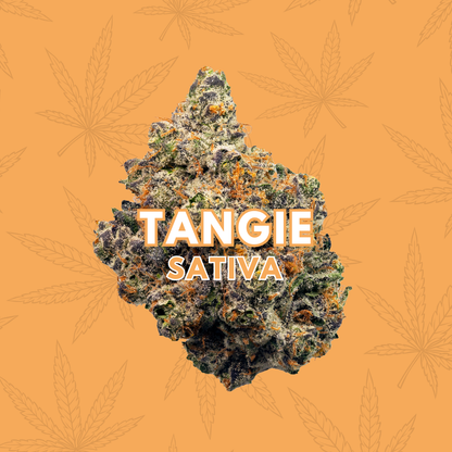Tangie